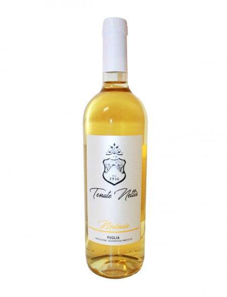 malvasia-ok-450×588